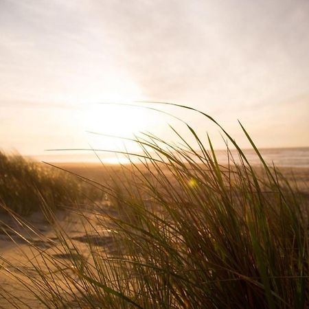 Kleine Nordseewelle Ohne Hund Norden Kültér fotó