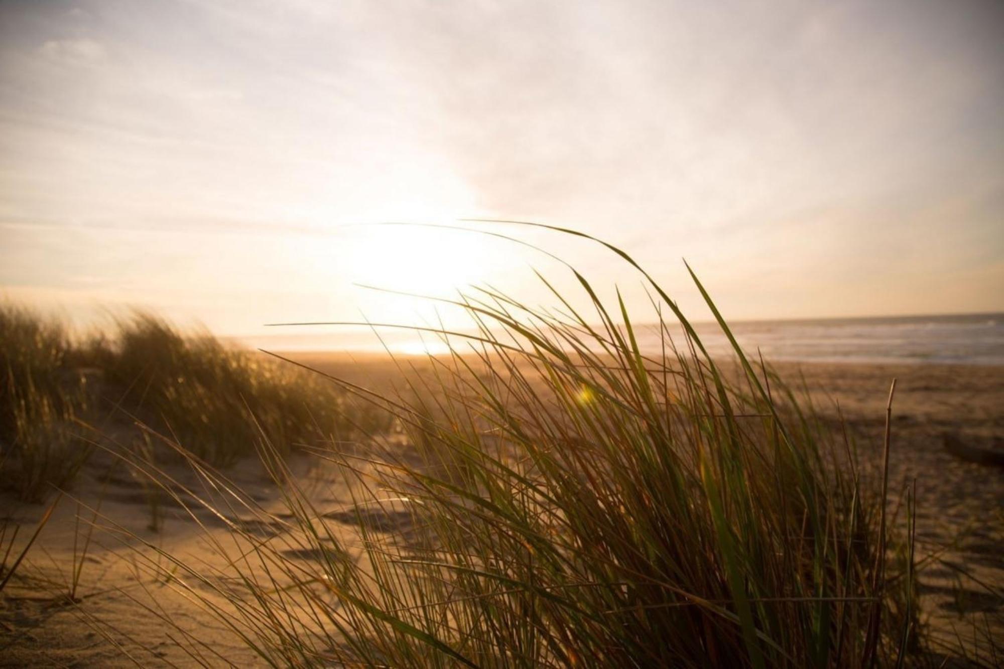 Kleine Nordseewelle Ohne Hund Norden Kültér fotó